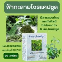 ราคา ฟ้าทะลายโจร ชนิดแคปซูล ยาฟ้าทะลายโจร กิฟฟารีน บรรจุ 50 แคปซูล พร้อมส่งทันที (18142042055)