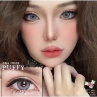 ราคา คอนแทคเลนส์ Puffy Gray Brown คละยี่ห้อ Pitchy lens Pretty Doll ค่าสายตาปกติ (22201266116)