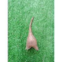 ราคา มะยมเงินมะยมทอง 4ขนาดให้เลือก หัวสดและชำ มะยมเงินโขด ไม้โขด มะยมโขด โขดมะยม ไม้โขดมินิมอล (17100189682)