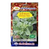 ราคา เมล็ดคะน้าฮ่องกง Chinese Kale MT OP 051 เมล็ดพันธุ์คะน้าฮ่องกง เมล็ดผัก เมล็ดผักสวนครัว เมล็ดคะน้า เมล็ดพันธุ์ผัก เมล็ดพันธุ์คะน้า ตราภูเขาทอง (20126253874)