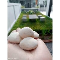 ราคา แป้งข้าวหมากสมุนไพร (21613617024)