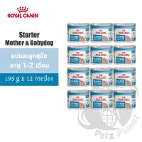 ราคา Royal Canin Starter Mother Babydog Mousse สำหรับแม่สุนัขตั้งท้อง ให้นม และลูกสุนัข หย่านม 2เดือน ขนาด195กรัม x 12กระป๋อง (19022161315)