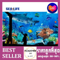 ราคา บัตรกระดาษ SEALIFE Bangkok Ocean World ซีไลฟ์ สยามโอเชียนเวิลด์ (12870032092)