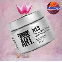 ราคา Loreal Tecni Art Web 150ml แว็กซ์จัดแต่งทรงผม (13699875985)