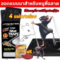 ราคา ไม่มีที่ไหนให้หลบหนีหนู กาวดักหนู กาวดักหนู แน่นๆ กับดักหนู 4 แผ่น แพ็ค กําจัดหนู เหนียวพิเศษ กาวกลิ่นถั่ว ตัวกระดานหนา กล่องดักหนู ยาดักหนู กาวดักหนูถาด ยากันหนู กรงจับหนู (22896956353)