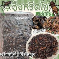 ราคา จิ้งหรีดไข่ 1kg ค่าส่งแบบเหมา ส่งขนส่งแช่เย็น ฟรีลังโฟมทุกจังหวัด คละสินค้าได้ทั้งร้าน (20931432749)
