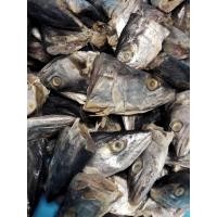 ราคา หัวปลาอินทรีย์เค็มหอม ตามรูป 1000 1200กรัม ราคา35 ซื้อ5แถม1อร่อยทอดกรอบมากยำอร่อยเค็มน้อย (22152226600)