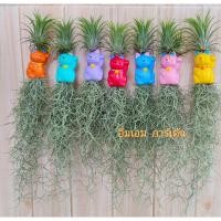 ราคา เคราฤาษีแต่งตุ๊กตาเซรามิค กระถางดินเผา (22893214341)