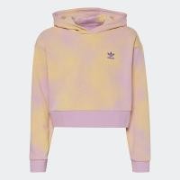 ราคา adidas ไลฟ์สไตล์ เสื้อฮู้ดทรงครอปพิมพ์ลาย เด็ก สีม่วง HK2942 (22439989902)