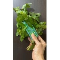 ราคา Pudin hara 40 แผง EPX 06 2026 ของแท้ 100 (22840883592)