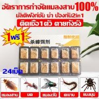 ราคา สามชั่วอายุถูกฆ่า ยาฆ่าแมลงสาบ กำจัดแมลงสาบ เหยื่อแมลงสาบ ปลอดภัยและมีประสิทธิภาพ ผลยานาน 12 เดือน ฆ่าให้ตายทั้งรัง กันน้ำ กันความชื้น วางราบได้ สดชื่นและชุ่มชื่น ที่ดักแมลงสาบ เหยื่อกำจัดแมลงสาบ ยากำ