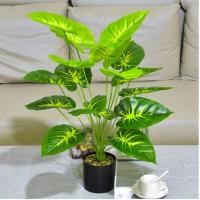 ราคา ไม่มีพิษภัย ต้นไม้มงคล ต้นไม้ปลอม ต้นไม้ประดิษฐ์ แกนดอกไม้สีเหลือง แดง ต้นไม้เสริมบารมีบ้านเหมาะสำหรับตกแต่งสำนักงานตกแต่งบ้าน (22772787620)