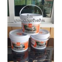 ราคา สีทาปูนทรายใต้ครอบ กระเบื้องหลังคา CT ตราเพชร (22074270663)