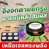 ราคา ตุ๊กแกหายไป ไล่ตุ๊กแก ยาฆ่าจิ้งจก ยาไล่จิ้งจก 6 ชิ้น กล่อง มันจะฆ่าตุ๊กแกทั้งรังและคงอยู่ได้นาน 90 วัน ยาไล่ตุ๊กแก (22842743790)