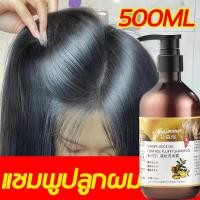 ราคา แชมพูแก้ผมร่วง แชมพูสำหรับผมขาดหลุดร่วง ป้องกันผมร่วงบำรุงผม สูตรสมุนไพร แชมพูปลูกผม แชมพูเร่งผมยาว บำรุงรากผม แชมพ แชมพูขิง 500ml (22426305616)