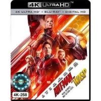 ราคา 4K UHD หนัง Ant Man and the Wasp แอนท์ แมน และ เดอะ วอสพ์ (16923991992)