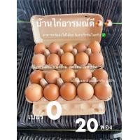 ราคา ไข่ไก่จากฟาร์ม20 เบอร์0 ปลอดสารพิษ (22926758938)