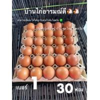 ราคา ส่งฟรี ไข่ไก่อารมณ์ดี 30ฟอง เบอร์1สดสะอาดและมาตรฐาน (22925623254)