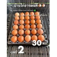 ราคา ไข่ไก่ เบอร์2 30ฟอง ส่งฟรี (22926537037)