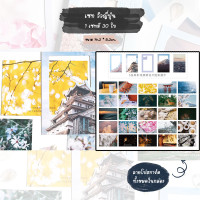 ราคา รวมเซทโปสการ์ดแต่งห้อง Postcard น่ารักสำหรับเขียนส่งให้เพื่อน โปสการ์ดลายการ์ตูน โปสการ์ดลายดอกไม้ การ์ดแต่งห้อง (17613777451)