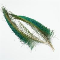 ราคา 20 ชิ้นนกยูงธรรมชาติตก แต่งงานปาร์ตี้ดาบนกยูงขนนกประดับเครื่องประดับแจกัน แต่งงานชิ้นกลาง (21806510170)