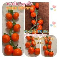 ราคา ส้มปลอม โมเดลพวงส้ม 1 พวงมี4ช่อ 8 ลูกเล็ก วัสดุผลิตจากโฟม (18981508726)