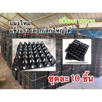 ราคา แผงไข่30ฟอง ชุดละ10ชิ้น มือ1 สินค้าพร้อมส่งฟรี (22926960216)