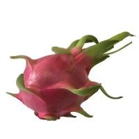 ราคา แก้วมังกร 400 600กรัม ผลแก้วมังกร ลูกแก้วมังกร ผักผลไม้สดใหม่ ราคา ถูก ส่ง (21016450176)