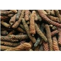 ราคา ดีปลีแห้ง ขนาด 100 กรัม (22797264092)