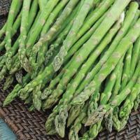 ราคา 15 เมล็ด หน่อไม้ฝรั่ง สายพันธุ์นำเข้า Asparagus Seeds (21729789309)
