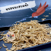 ราคา หนอนนกอบแห้ง หนอนนก หนอนอบแห้ง แมลง แมลงอบแห้ง สัตว์กินแมลง นก นกแก้ว ฟอฟัส นกกางเขน เม่นแคระ เบียร์ดดราก้อน (14754080451)