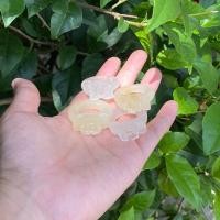 ราคา แหวนใสจุยเจียแกะสลักรูปดอกไม้ ไซส์565758 (21514671658)