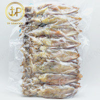 ราคา หมึกแพไข่กลาง ไข่แน่นๆ สดใหม่ ของฝากปากน้ำปราณ ทอดทานอร่อย ไม่เค็ม (22957844059)