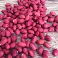 ราคา ถั่วลิสงสีแดง เมล็ดพันธุ์ถั่วลิสง เมล็ดแดง สำหรับทาน หรือปลูกได้ ขายเป็นกิโล 1 kg花生 (22315211552)