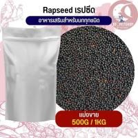 ราคา อาหารนก หนู กระรอก ชูก้าLepseed เลปซีด อาหารนก กระต่าย หนู ชูก้า และสัตว์ฟันแทะ สินค้าสดใหม่ทุกชิ้น แบ่งขาย 500G 1KG (18331396556)