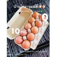 ราคา ไข่ไก่จากฟาร์ม เบอร์0 10ฟอง ส่งฟรี (22927995725)