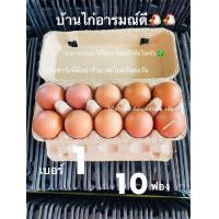 ราคา ไข่ไก่จากฟาร์ม เบอร์1 10ฟอง ส่งฟรี (22927963900)