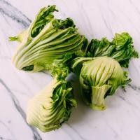 ราคา 1000 เมล็ด เขียวปลี ผักกาดเขียวปลี ผักโสภณ Chinese Green mustard Seeds (21901229171)