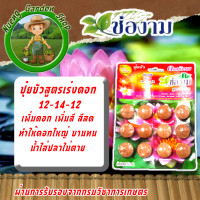ราคา ช่องาม ปุ๋ยบัว ปุ๋ยบัวเร่งดอกเร่งสี ปุ๋ยบัวเร่งใบเร่งต้น ปุ๋ยบัวกระปุก ใช้กับไม้น้ำได้ทุกชนิด (22898378046)