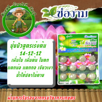 ราคา ช่องาม ปุ๋ยบัว ปุ๋ยบัวเร่งดอกเร่งสี ปุ๋ยบัวเร่งใบเร่งต้น ปุ๋ยบัวกระปุก ใช้กับไม้น้ำได้ทุกชนิด (22898378047)