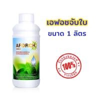 ราคา จับใบ เอฟอช สารจับใบ Aforch ขนาด 1 ลิตร ปลอดภัย ไม่มีสารตกค้าง ยาจับใบ ยาจับใบซึมเร็ว (18481946931)