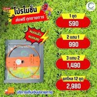 ราคา กันชนใบตัดหญ้า ดร เกษตร ใบมีดตัดหญ้าซิ่งรุ่นอัพเกรด ครบชุด ตามภาพ ทรงหางปลา คมฟันปลา หมดปัญหาหญ้าติดขอบมีด ส่งฟรี (22847501085)