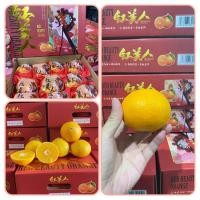 ราคา ส้มเอฮิเมะ เนื้อเยลลี่ ล๊อตใหม่ หวาน หอม อร่อย 1 ลัง 10 12 ลูก (22956875352)