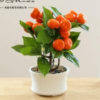 ราคา 22cm ต้นส้มปลอมพร้อมกระถางกลม มีหินในกระถางสวยงาม มงคล (22675626798)