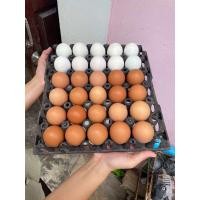 ราคา ไข่ไก่20ฟอง ไข่เค็ม10ฟอง ชุดพิเศษ เบอร์0 (22903698432)