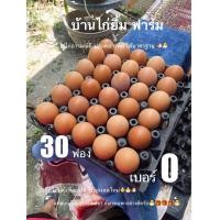 ราคา ไข่ไก่ใหญ่ เบอร์0 30ฟอง ส่งฟรีถึงบ้าน (22927850784)