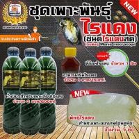 ราคา ชุดเพาะไรแดง ชนิดไรแดงสด เพาะเลี้ยงได้ทันที พิเศษ แถมฟรีที่ช้อนไรแดงพร้อมคู่มือการเพาะเลี้ยงและอาหารสำหรับเพาะเลี้ยงไรแดง ครบชุด (10204485356)