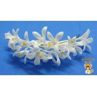 ราคา ดอกไม้ติดผม ติดผมเจ้าสาว ดอกปีบ ดอกกาสะลอง (9407617160)