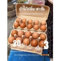 ราคา ไข่ไก่ เบอร์3 20ฟอง ปลอดสารพิษ ส่งฟรี (22927911697)