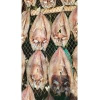 ราคา ปลาทูแขกผ่าตากแห้งแดดเดียวทำใหม่วันต่อวัน500กรัม125บาท (22927416154)